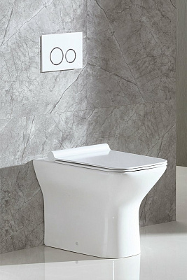 Чаша для унитаза приставного BelBagno Romano BB248CBR