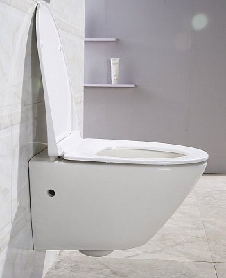 Чаша для унитаза BelBagno Alpha BB300CHR подвесная