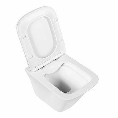 Крышка-сиденье BelBagno Ardente-R BB2322SC с микролифтом
