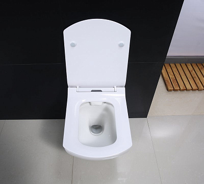 Крышка-сиденье BelBagno Carina BB1077SC с микролифтом