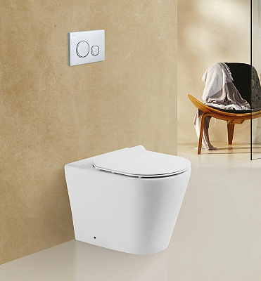 Чаша для унитаза приставного BelBagno Flay-R BB1003CBR